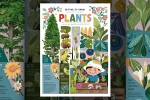 Getting to Know Plants