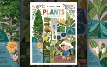 Getting to Know Plants