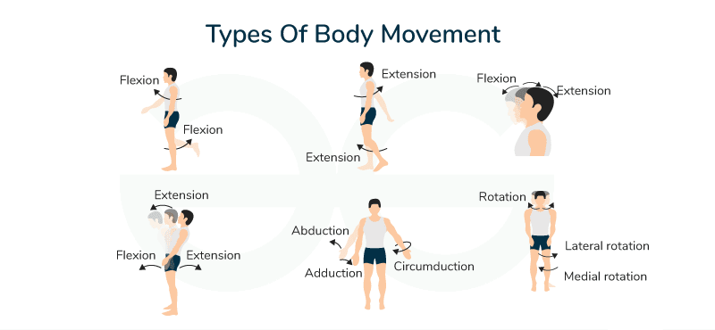 Body Movements
