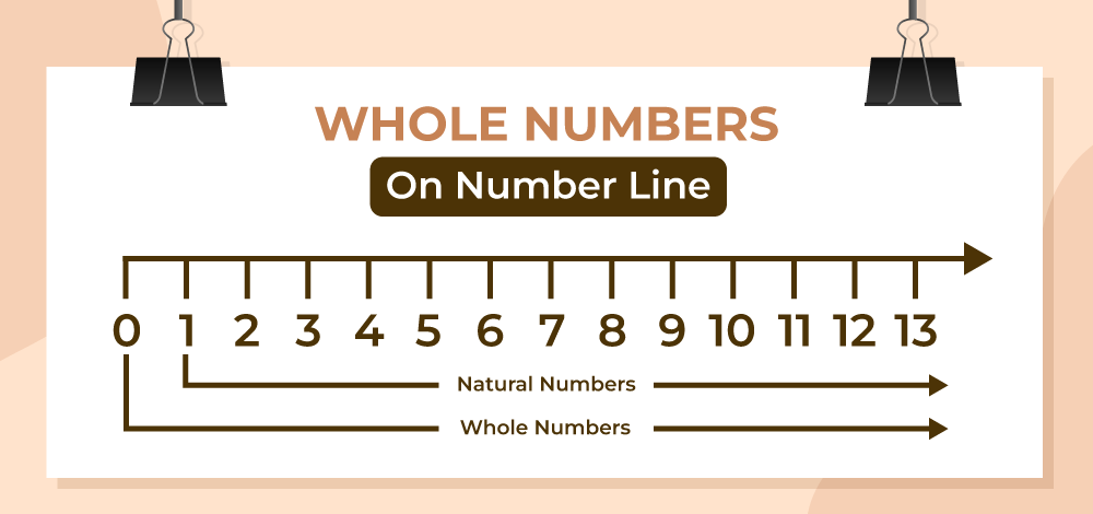 Whole Numbers