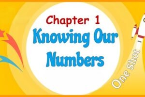 Knowing Our Numbers