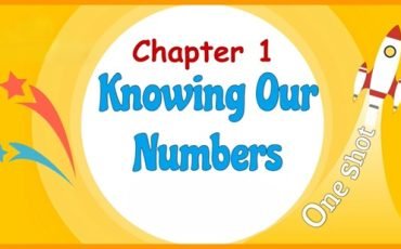 Knowing Our Numbers