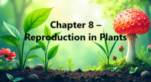Reproduction in Plants