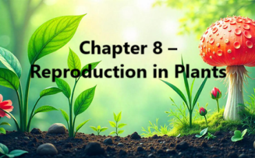 Reproduction in Plants