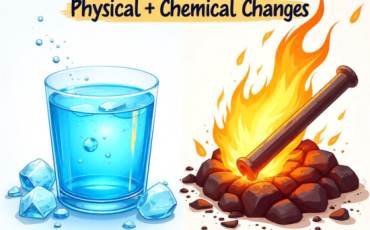Physical and Chemical Changes