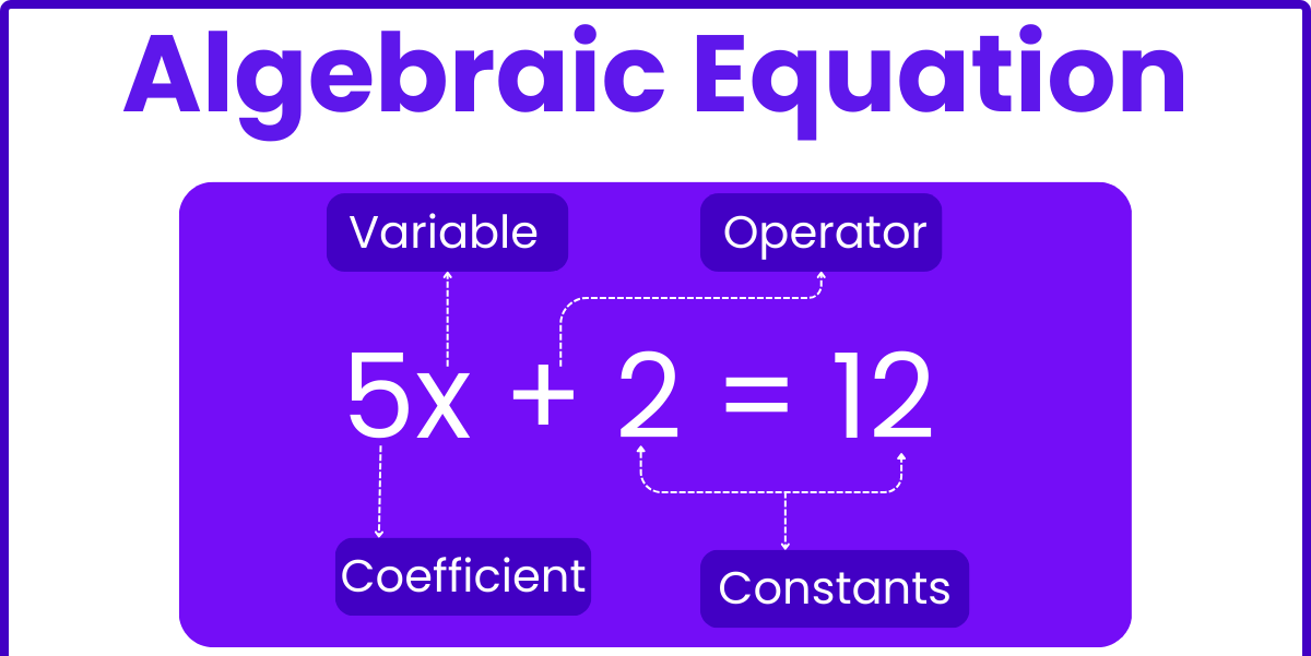 Algebraic Expressions