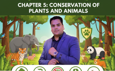 Conservation of Plants and Animals