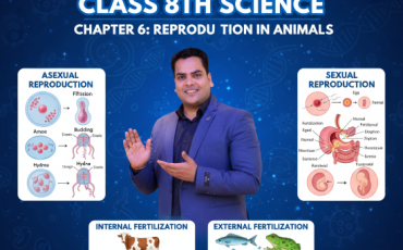 Reproduction in Animals