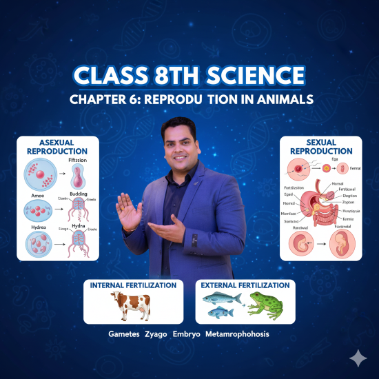 Reproduction in Animals