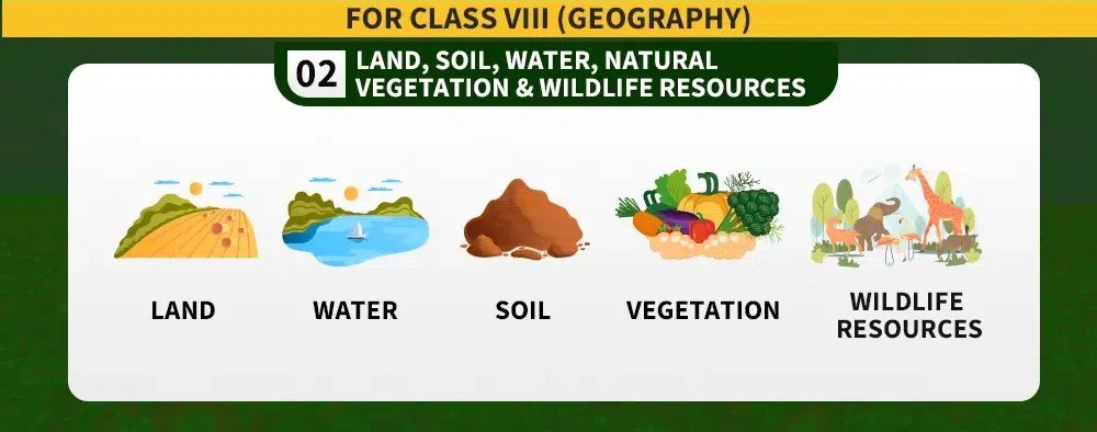 Natural Vegetation and Wildlife Resources